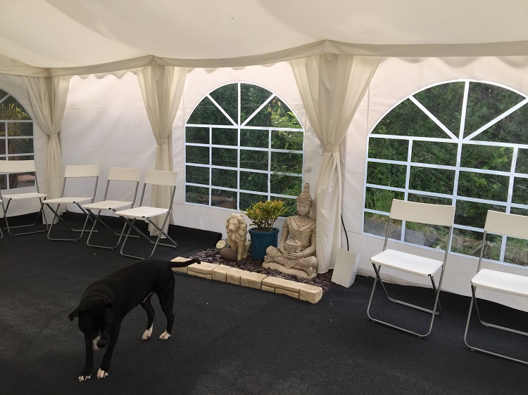 Wedding party celebration - Posh Garden Marquee Hire